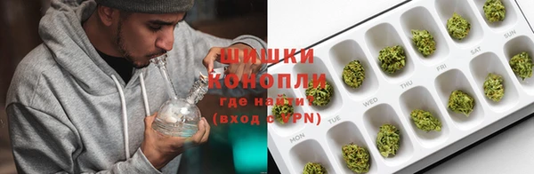 шишки Заволжск