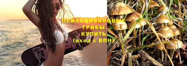 амф Абдулино