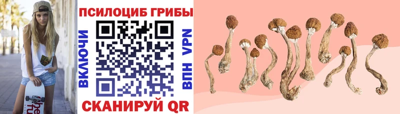 Псилоцибиновые грибы Magic Shrooms  Ухта 